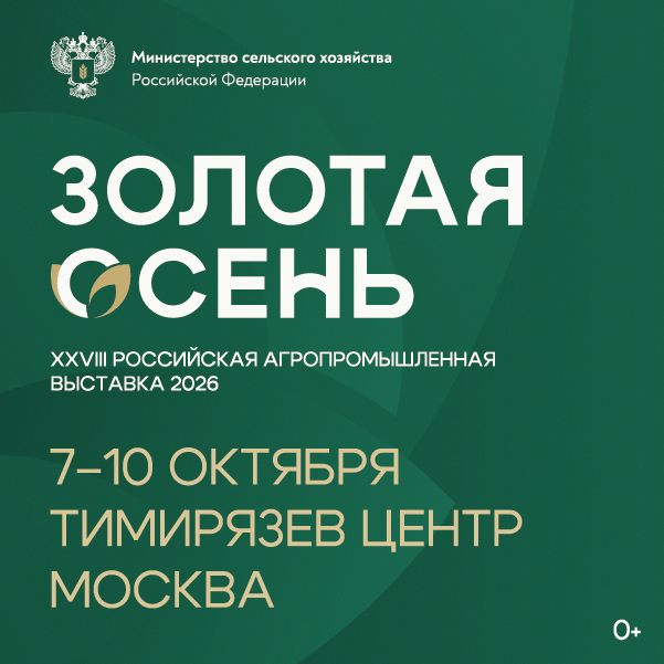 Золотая осень